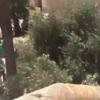 'Askerlik yapamazsın' denilen Mehmetçiğin ağladığı görüntüler rekor kırıyor 'Askerlik yapamazsın' denilen Mehmetçiğin ağladığı görüntüler rekor kırıyor