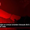 Mobilya, kağıt ve orman ürünleri ihracatı ilk 8 ayda ... Mobilya, kağıt ve orman ürünleri ihracatı ilk 8 ayda ...