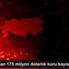 Malatya dan 175 milyon dolarlık kuru kayısı ihracatı
