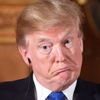 Kendine ''gümrük vergisi adamı'' diyen Trump espri konusu oldu Kendine ''gümrük vergisi adamı'' diyen Trump espri konusu oldu
