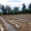 Dolu, Korkuteli'de etkili oldu Dolu, Korkuteli'de etkili oldu