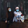 Hong Kong'da salgın kaynaklı ilk hayvan ölümü Hong Kong'da salgın kaynaklı ilk hayvan ölümü