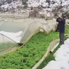 Zordaki çiftçilere ağır kış faturası Zordaki çiftçilere ağır kış faturası