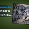 Hayvanat bahçesinde tutuluyorlar Hayvanat bahçesinde tutuluyorlar