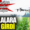 Tarlalara ZİHA girdi Tarlalara ZİHA girdi