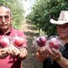 Kahramanmaraş'ta hobisi mesleği oldu
