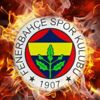 Fenerbahçeli Mehmet Topal 3 hafta sahalardan uzak kalacak