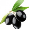 Zeytinin İnanılmaz Faydaları Zeytinin İnanılmaz Faydaları