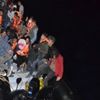 Yunanistan’a geçmeye çalışan 36 düzensiz göçmen yakalandı Yunanistan’a geçmeye çalışan 36 düzensiz göçmen yakalandı