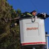 Kozalak toplayan adam elektrik akımına kapılarak öldü