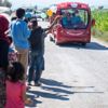 Tarlada oyuncak sürprizi