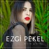 Ezgi Pekel in ilk albümünün ilk klibi "Deliyim" yayınlandı Ezgi Pekel in ilk albümünün ilk klibi "Deliyim" yayınlandı