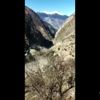 Aşıda ikinci doz uygulaması başlıyor