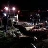 Foseptik çukuruna düşen ineği itfaiye ekipleri kurtardı Foseptik çukuruna düşen ineği itfaiye ekipleri kurtardı
