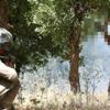 İçişleri Bakanlığı duyurdu: İkna edilen PKK'lı 2 terörist teslim oldu