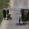 Amişler sürü bağışıklığı kazandı