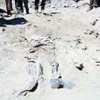 Tikrit’de 12 toplu mezar bulundu Tikrit’de 12 toplu mezar bulundu