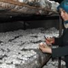 Hobi olarak başladı, iş sahibi oldu Hobi olarak başladı, iş sahibi oldu