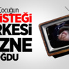 Ryan Donk: Müslüman Olabilirim Ryan Donk: Müslüman Olabilirim