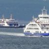 Son dakika: Deniz ulaşımına fırtına engeli