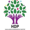HDP'den çift eşli 3 aday adayına onay