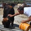 Haluk Levent, kurtardığı Ferdinand ile buluştu Haluk Levent, kurtardığı Ferdinand ile buluştu