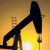 Kürt petrolünü dağıtan imtiyazlı şirketin arkasından Berat Albayrak çıktı Kürt petrolünü dağıtan imtiyazlı şirketin arkasından Berat Albayrak çıktı