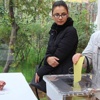 Avrupa'daki Türkler sandık başında Avrupa'daki Türkler sandık başında