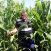 Şehir merkezine inen domuz sürüleri çiftçileri canından ... Şehir merkezine inen domuz sürüleri çiftçileri canından ...