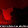 Beyaza bürünen yaylalar doğal güzelliğiyle cezbediyor