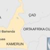 Kamerun'da Anglofonlar 'bağımsızlık' ilan etti
