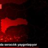 Erzincan da seracılık yaygınlaşıyor Erzincan da seracılık yaygınlaşıyor