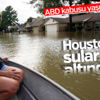 ABD'de kabusun adı: Harvey