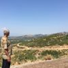 İzmir'de makilik yangını İzmir'de makilik yangını