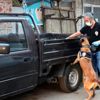 Son dakika haberi... Tekirdağ da 100 polisle operasyon: ... Son dakika haberi... Tekirdağ da 100 polisle operasyon: ...