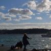 Meteoroloji'den son tahminler
