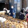 Patatesler doğal soğuk hava deposu mağaralarda saklanıyor