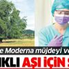 BioNTech ve Moderna Coronavirüs aşısını buldu! Ancak Quillaja Saponaria ağacı ve köpek balığı karaciğeri gerekli BioNTech ve Moderna Coronavirüs aşısını buldu! Ancak Quillaja Saponaria ağacı ve köpek balığı karaciğeri gerekli