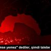 "Bunu kimse yemez" dediler, şimdi talebe yetişemiyor "Bunu kimse yemez" dediler, şimdi talebe yetişemiyor