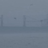 İstanbul'da sis İstanbul'da sis