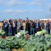 Tarla gününde yerli ve milli lahana çeşitleri tanıtıldı Tarla gününde yerli ve milli lahana çeşitleri tanıtıldı