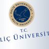 Haliç Üniversitesi 86 öğretim üyesi alacak