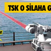 Hindistan'daki domuz gribi