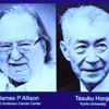 Nobel Tıp Ödülü'nü kazanan belli oldu