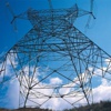 Küçük yatırımcıyı elektrik çarptı Küçük yatırımcıyı elektrik çarptı