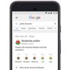 Google Polen tahminleri yapacak