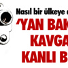 Uleb Avrupa Kupası