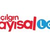 Çılgın Sayısal Loto'da 63.2 milyon devretti Çılgın Sayısal Loto'da 63.2 milyon devretti
