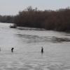 Meriç Nehri'ni yürüyerek, botla ve çocukları omuzlarında geçiyorlar Meriç Nehri'ni yürüyerek, botla ve çocukları omuzlarında geçiyorlar