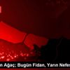 "11 Milyon Ağaç; Bugün Fidan, Yarın Nefes" programı "11 Milyon Ağaç; Bugün Fidan, Yarın Nefes" programı